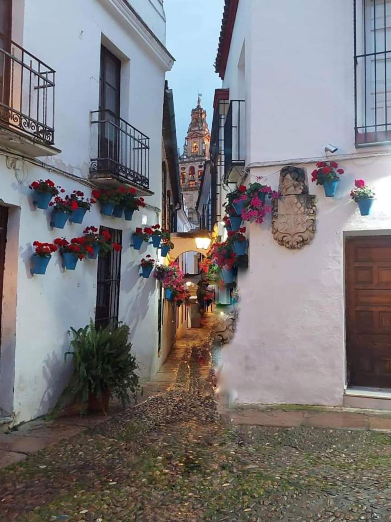 Nieves Viejas Los Patios Cordoba Luaran gambar