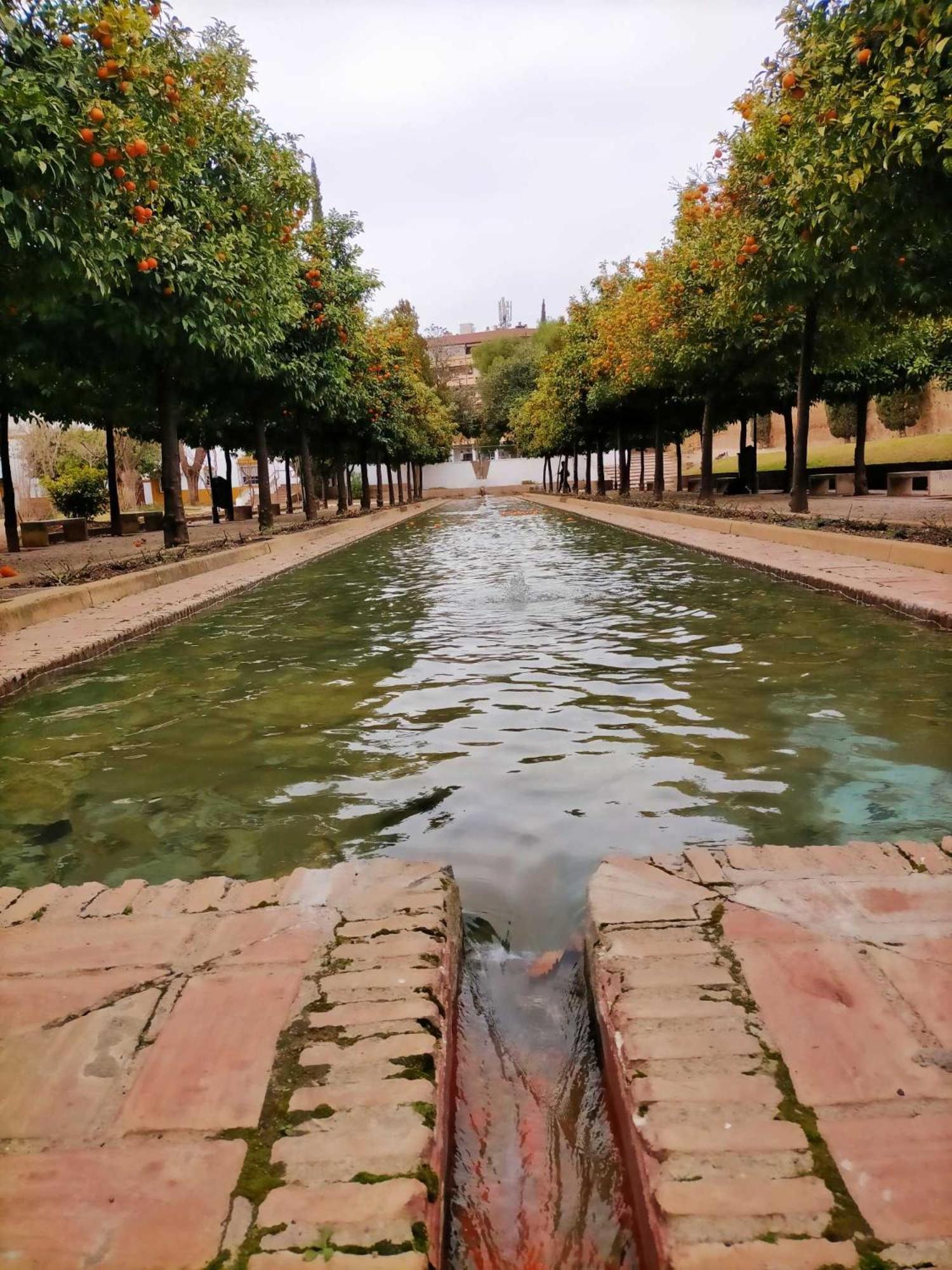 Nieves Viejas Los Patios Cordoba Luaran gambar